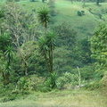 Природа Коста Рики