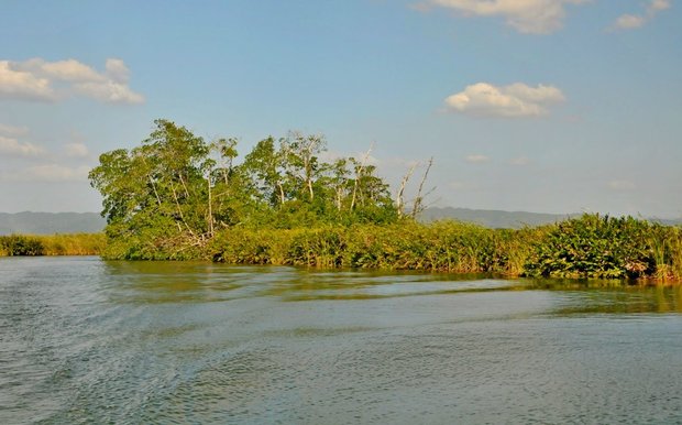Ямайка, Black river safari