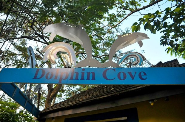Ямайка,  Dolphin Cove