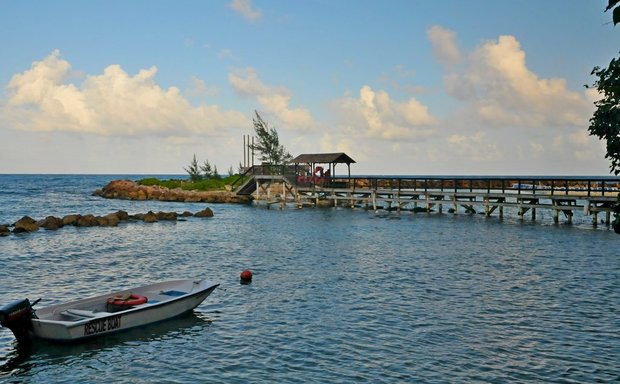 Ямайка,  Dolphin Cove