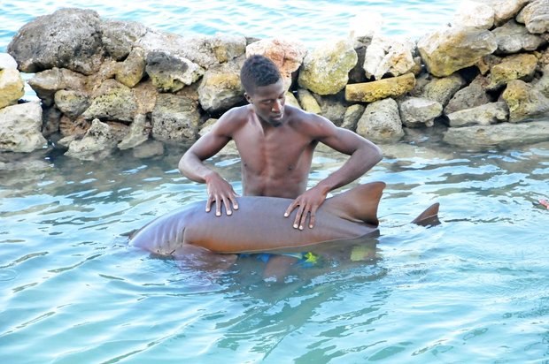 Ямайка, Dolphin Cove 
