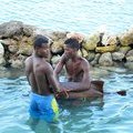 Ямайка, Dolphin Cove 