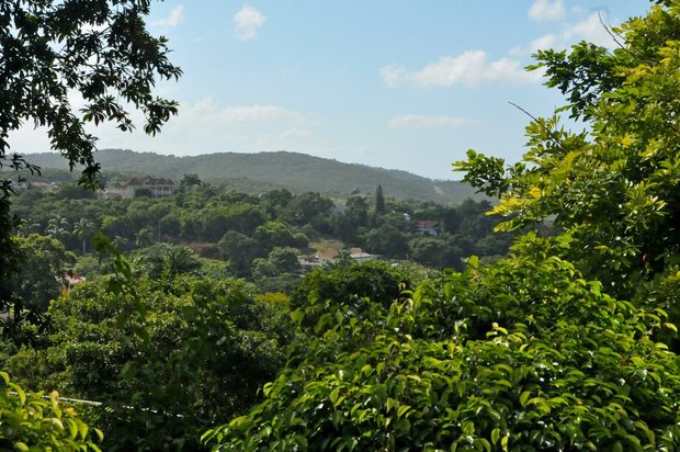 Обзорная экскурсия по Монтего Бей, дома, Монтего Бей, Ямайка