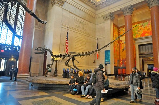 Американский музей естественной истории, American museum of Natural History, Нью-Йорк, США