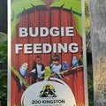 Ямайка, Кингстон, Зоопарк