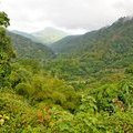 Ямайка, Национальный парк Голубые горы и горы Джона Кроу, Blue Mountains and John Crow Mountains National Park