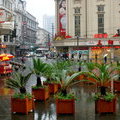 Шанхай под дождем