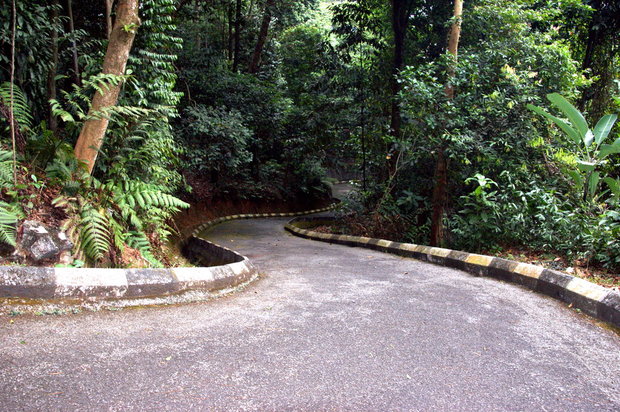 Дорожки Taman Eko Rimba KL, Bukit Nanas Forest
