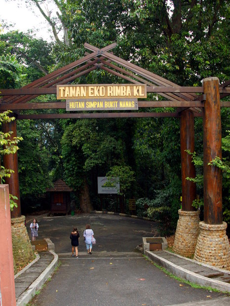 Taman Eko Rimba KL, Bukit Nanas Forest