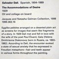 Salvador Dali, the Metropolitan Museum of art, modern and contemporary art, New York, the USA, Метрополитан музей, Нью-Йорк, США