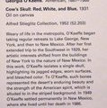 Georgia O'Keeffe, the Metropolitan Museum of art, modern and contemporary art, New York, the USA, Метрополитан музей, Нью-Йорк 