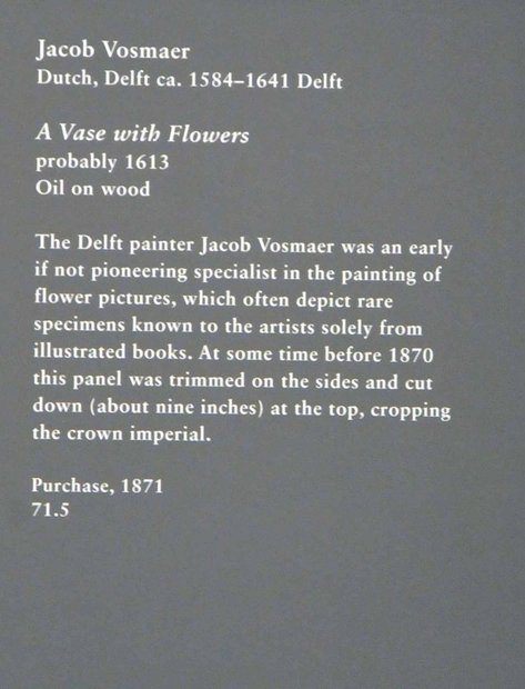 Jacob Vosmaer, European Paintings, the Metropolitan Museum of art, New York, the USA, Метрополитан музей, Нью-Йорк