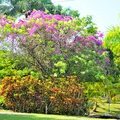 Gumbalimba park, остров Роатан, Гондурас