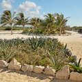  Punta Sur Eco Beach Park, Остров Консумель, Мексика