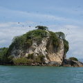 Остров птиц. Нацпарк Лос Хаитесес (Parque Los Haitises) 