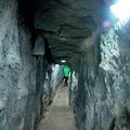 Gumbalimba park, Coxen's cave,  остров Роатан, Гондурас