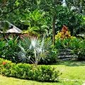 Gumbalimba park, остров Роатан, Гондурас