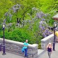 Belveder Castel, Central Park, NY, USA