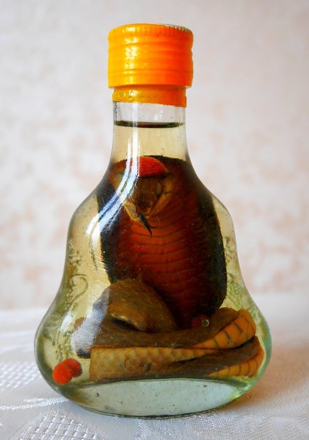 Алкоголь со змеей, Вьетнам