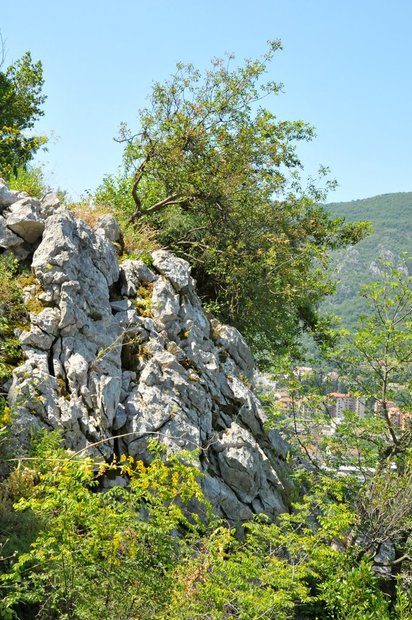 Черногория, Котор 