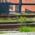 Парк High line, Нью-Йорк, США 