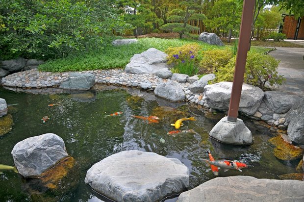 Японский сад в Бальбоа парк, Сан-Диего, Калифорния, США