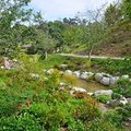 Японский сад в Бальбоа парк, Сан-Диего, Калифорния, США