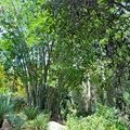 Arboretum Los Angeles (ботанический сад), Лос-Анжелес, Калифорния, США