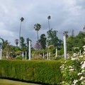 Arboretum Los Angeles (ботанический сад), Розарий, Лос-Анжелес, Калифорния, США