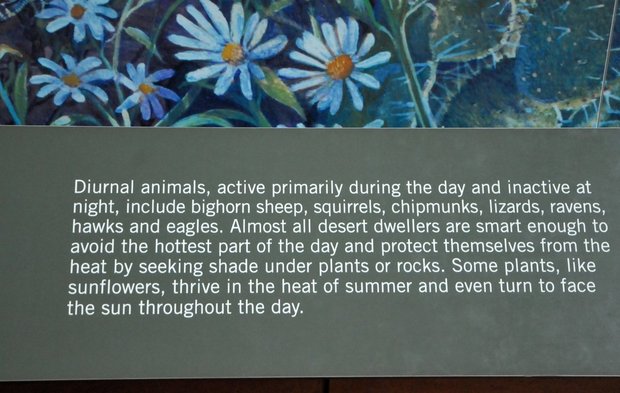 Национальный парк Арки, visitor center, Юта, США