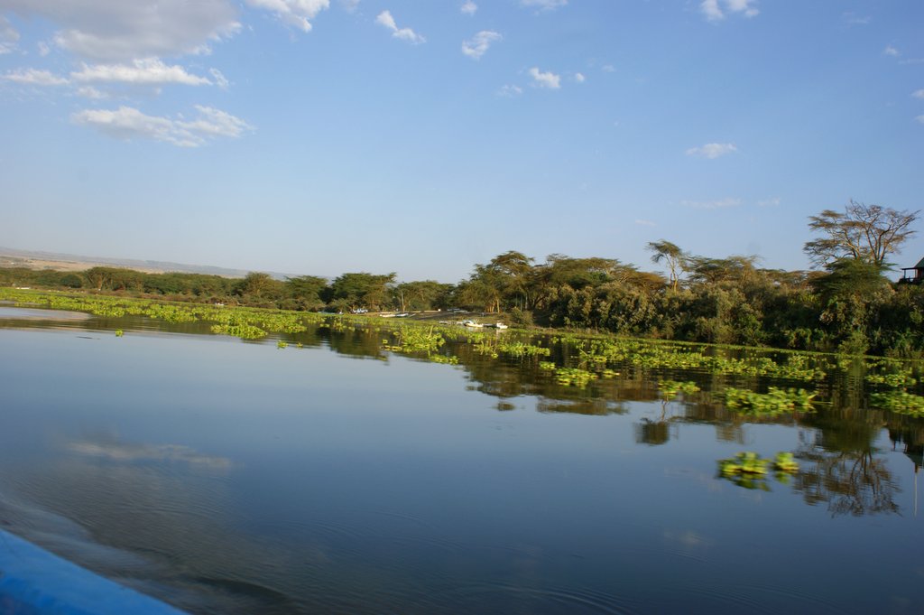 Восточно африканские озера. Озеро Найваша Кения. Озеро Логипи Кения. Озеро Туркана Кения.