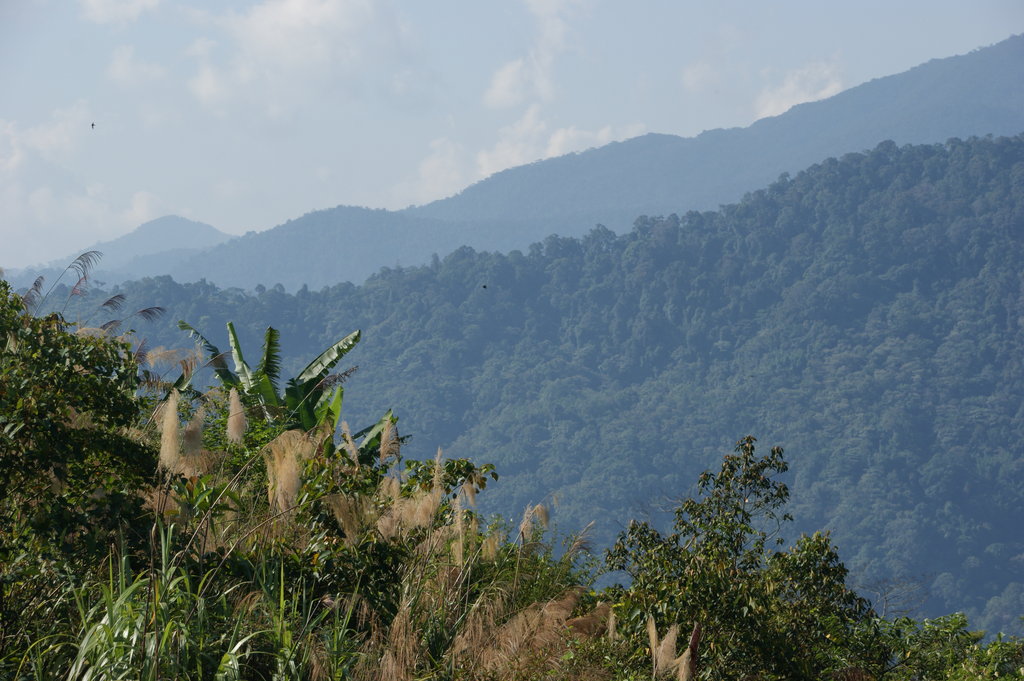 Кинабалу малайзия. Национальный парк Кинабалу. Гора Кинабалу Малайзия. Кота Кинабалу гора. Кинабалу климат.