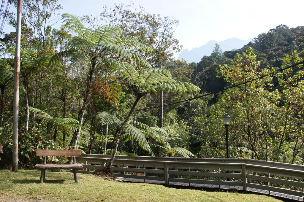 Кинабалу малайзия. Национальный парк Кинабалу (Малайзия). Национальный парк Кинабалу (штат Сабах, остров Борнео). Национальный парк Таман-Негара, Малайзия. Джунгли Борнео.