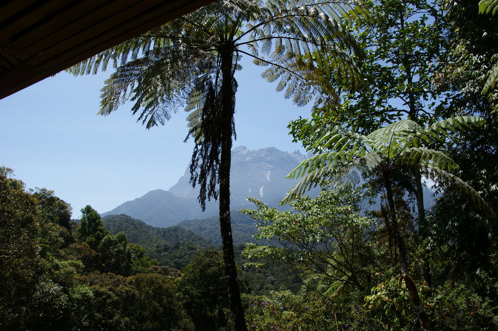 Кинабалу малайзия. Гора Кинабалу Борнео. Национальный парк Кинабалу (Малайзия). Джунгли Борнео. Калимантан природа.