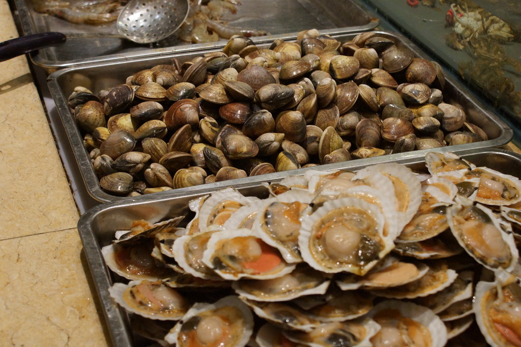 Доставка жарено севастополь. Моллюски еда. Ракушки еда. Съедобные моллюски. Съедобные ракушки.